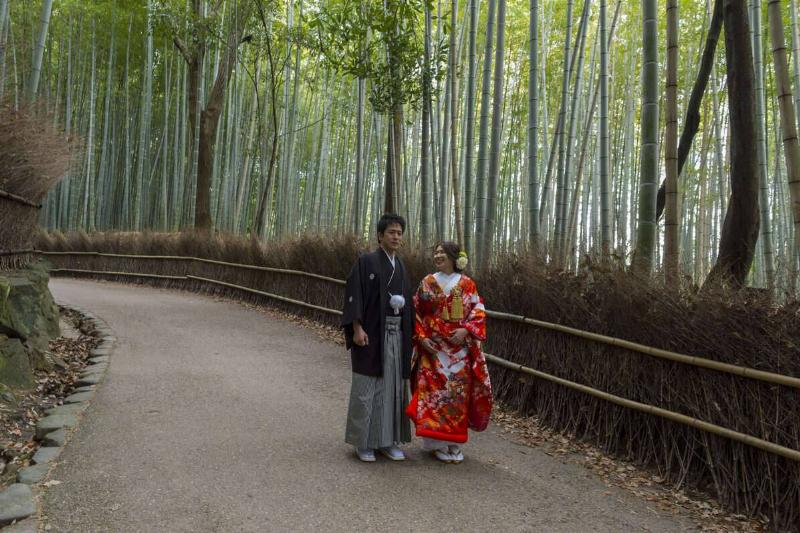 A Japanese bride and groom on the path through the bamboo... A Japanese bride and groom on the path through the bamboo...