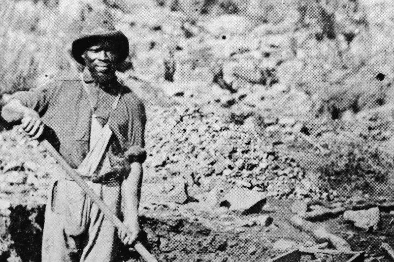 African-American Gold Miner African-American Gold Miner