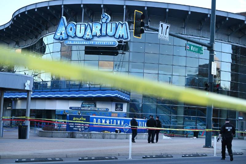 Shooting at Denver Aquarium
