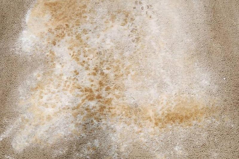 baking soda carpet baking soda carpet