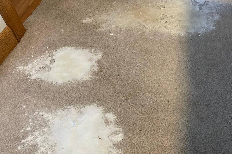 carpet baking soda carpet baking soda