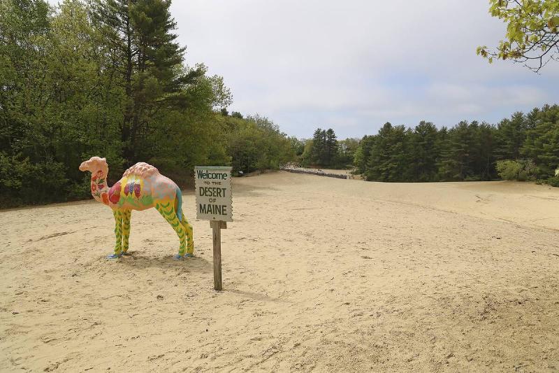 Desert of Maine Desert of Maine