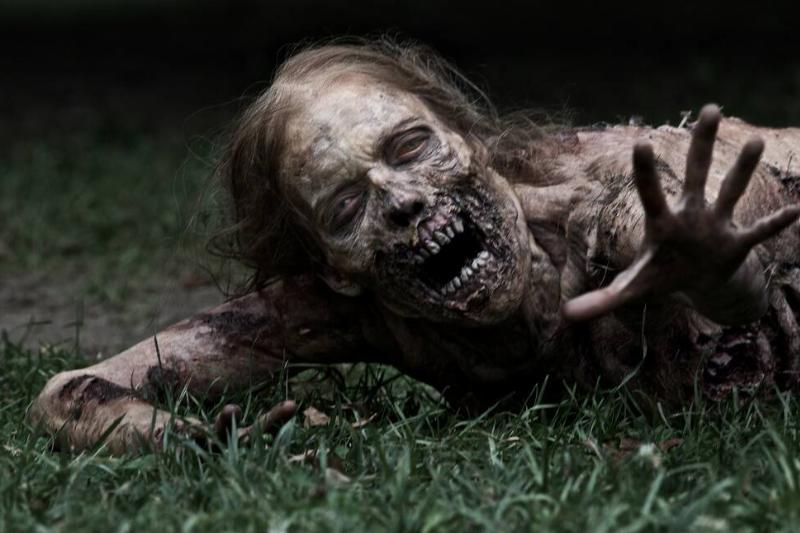 the-walking-dead_5a22a887