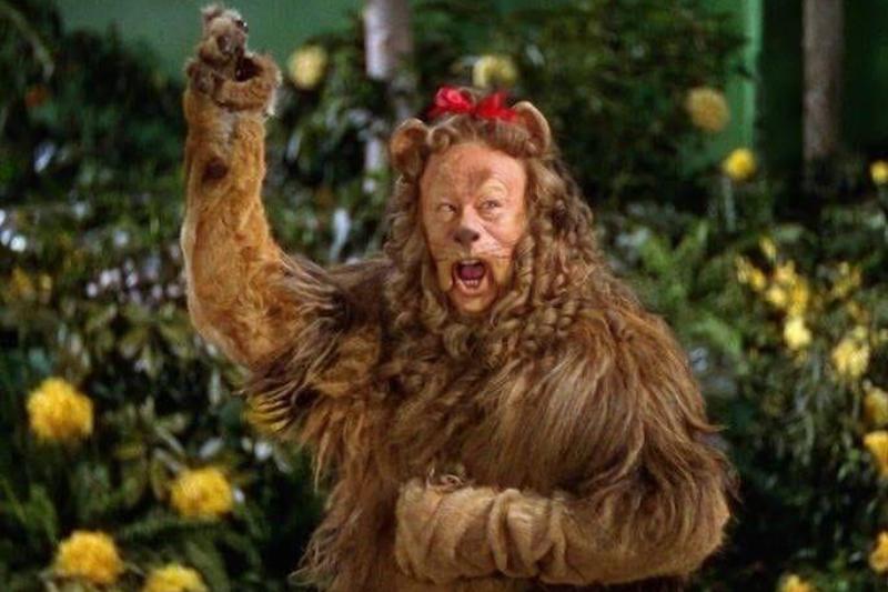 the-wizard-of-oz_BNXLQ9 the-wizard-of-oz_BNXLQ9