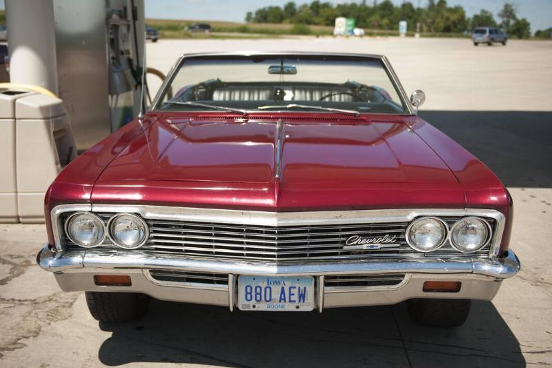 Impala Impala