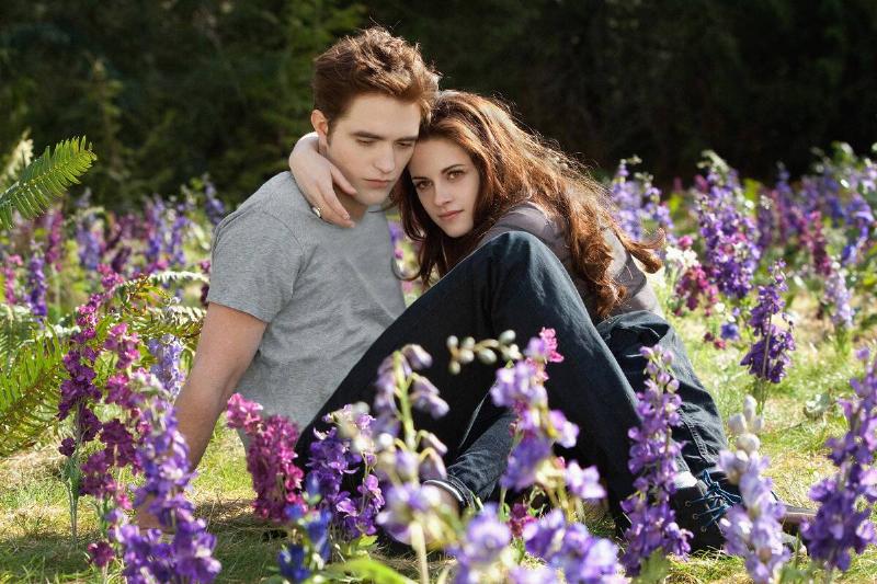 the-twilight-saga-breaking-dawn-part-2_dd6f8d56 the-twilight-saga-breaking-dawn-part-2_dd6f8d56