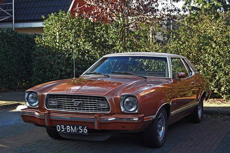 Ford Mustang II parked near a bush
