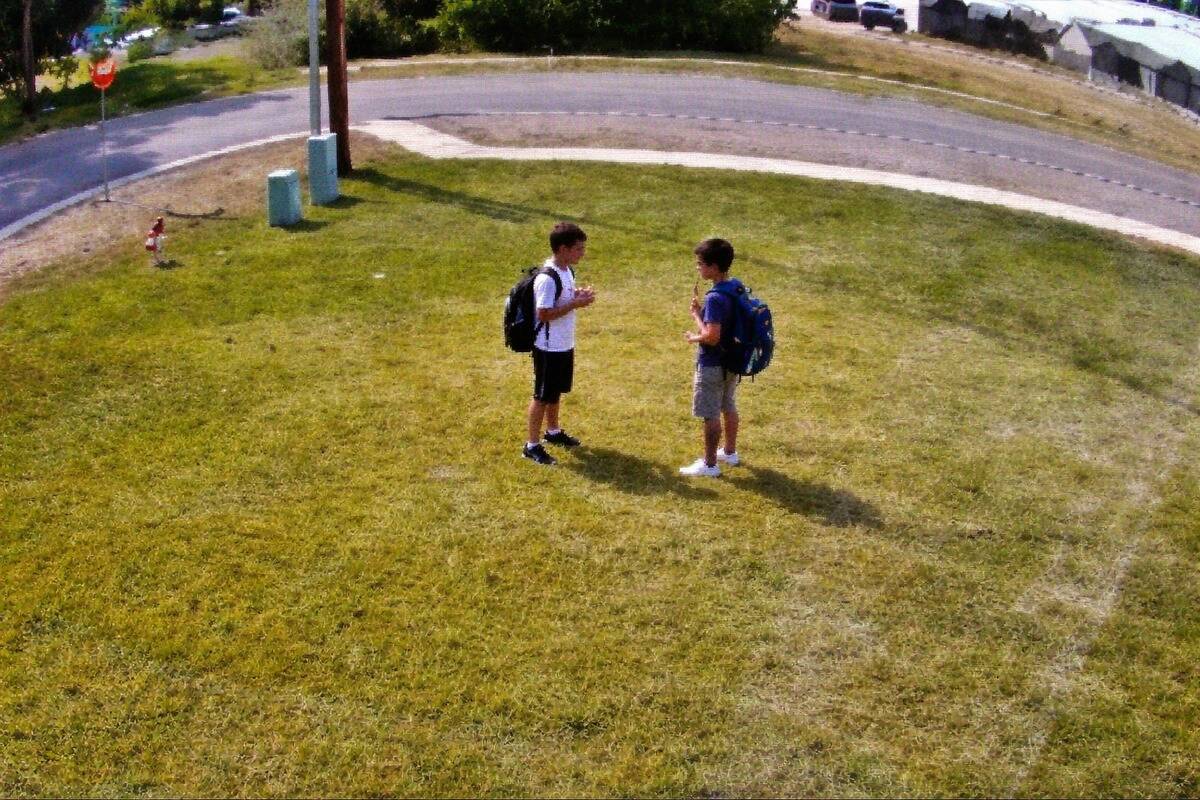 Two young boys standing in the middle of a front yard