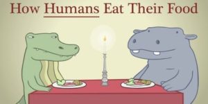 How humans eat their food.