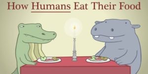 How humans eat their food.