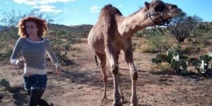 Girl vs. camel race.