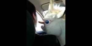 Rare footage of a unicorn using its feelers