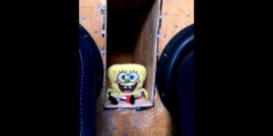 Spongebob Bass Pants