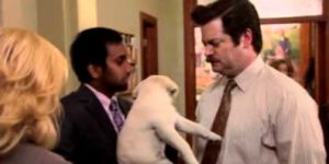 Ron Swanson and a puppy.