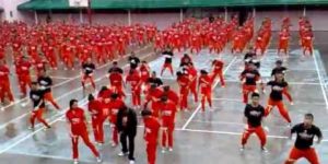 Gangnam Style inmates.