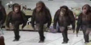 Just dancing chimps.