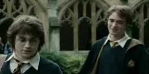 Harry+Potter+and+the+Brokeback+Goblet.