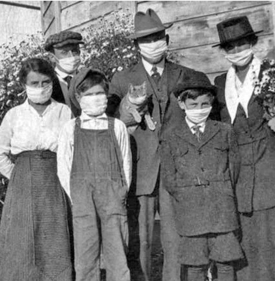 Even the cats got face masks during the Spanish Flu epidemic, circa 1920.