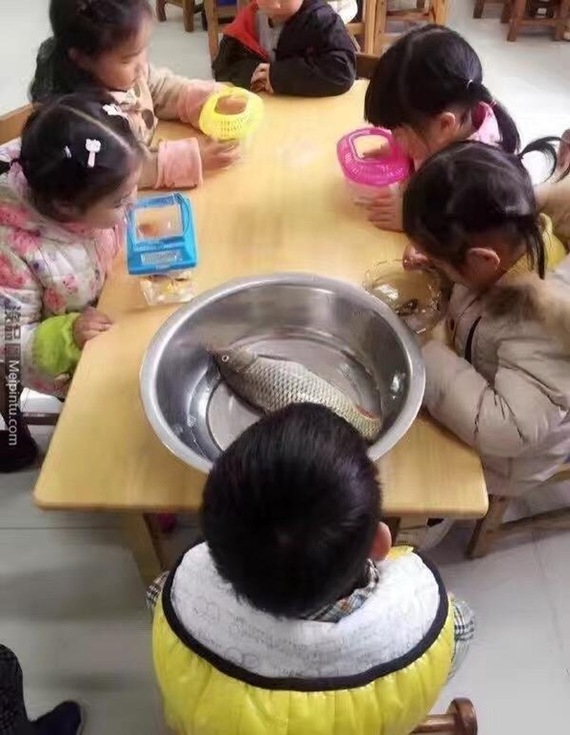 The school asked each child to bring a fish