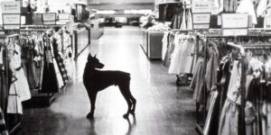 Macy’s Store Security circa 1954.