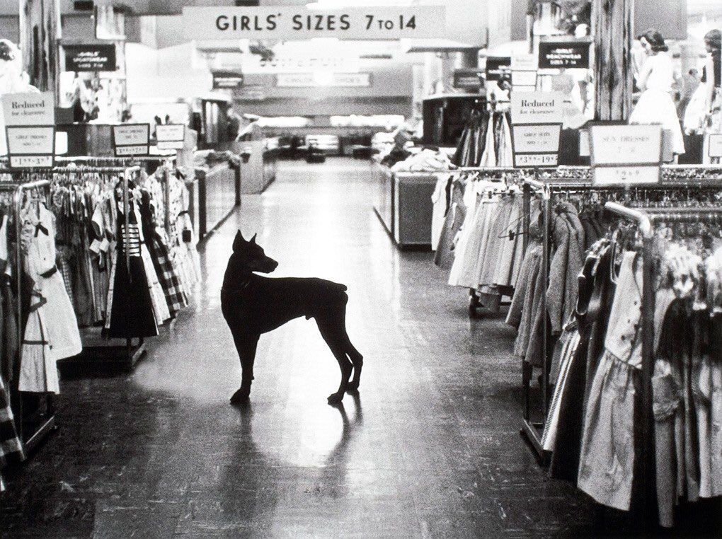 Macy's Store Security circa 1954.