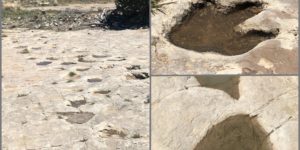 The footprints of dinosaurs, circa 240 million years ago in southern CO.