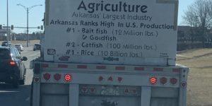 Arkansas agriculture facts!
