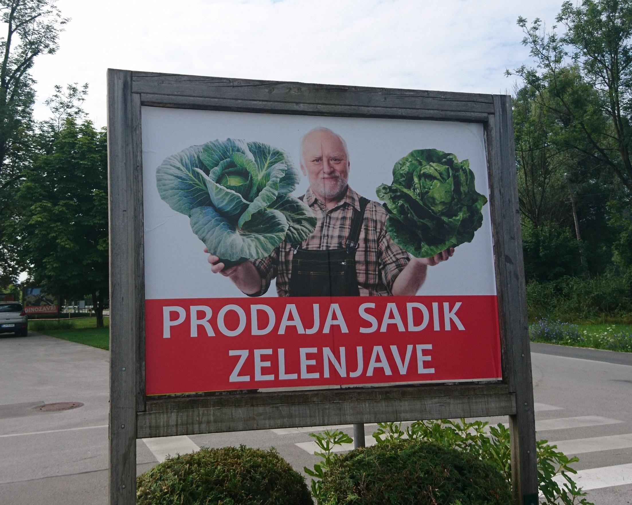 Caught Herold slinging veg in Slovenia. 