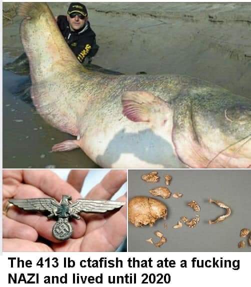 Inglorious Catfish