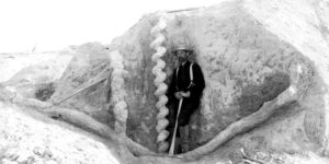 The remnants of spiral burrows dug with teeth by palaeocastors, ancient land beavers who lived circa 20 million years ago