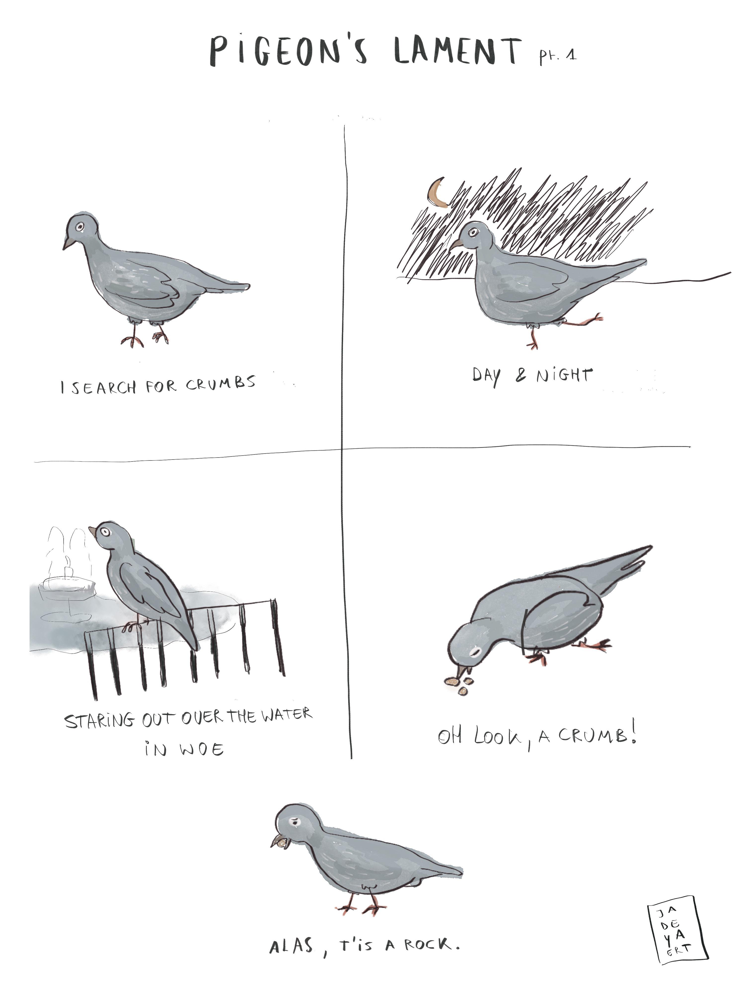 The pigeon's lament. 