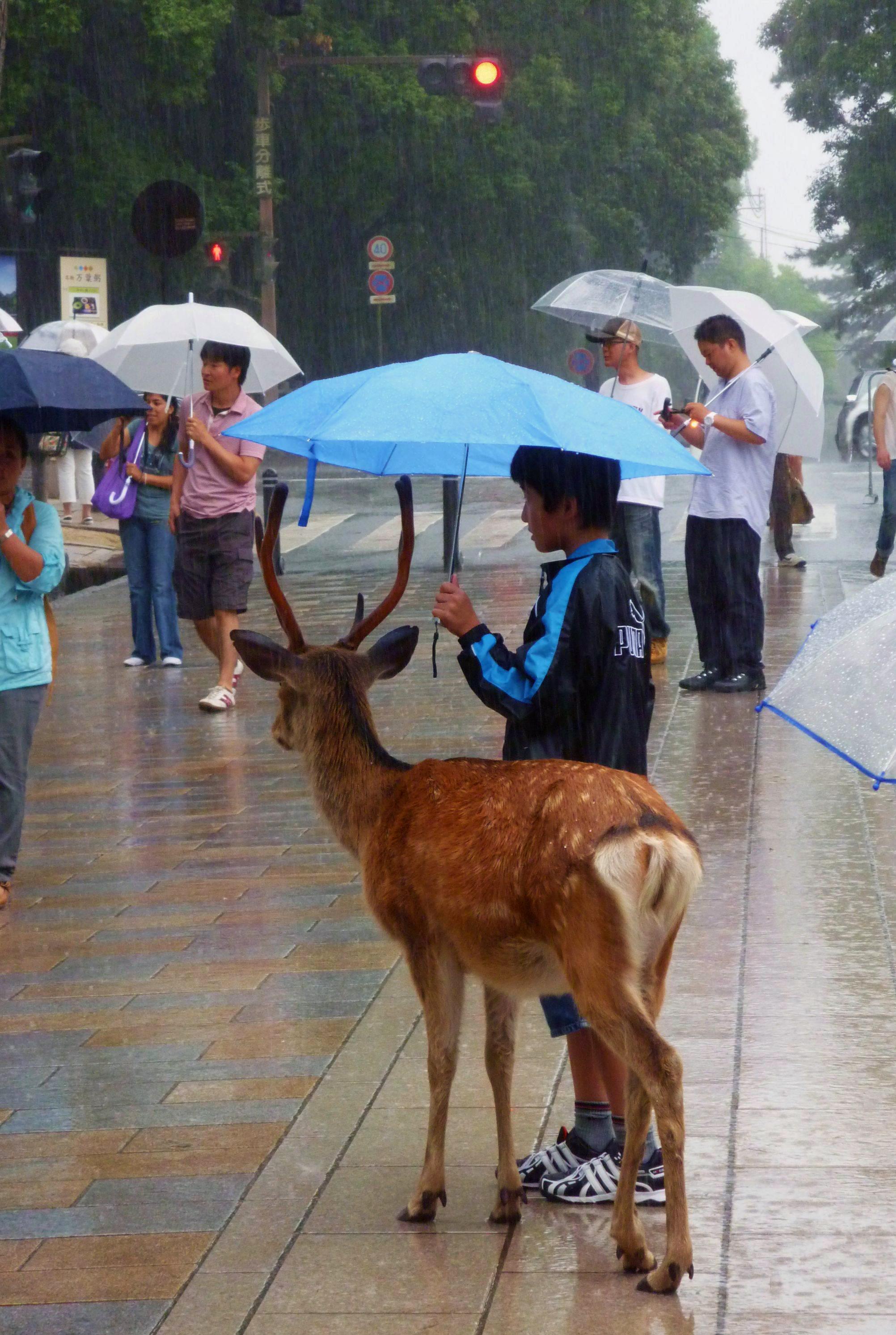 Share an umbrella with friends.