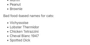 Food-based names for cats.