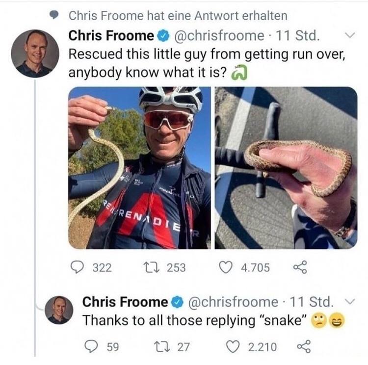 It's a danger noodle, Christopher. 