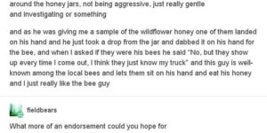 bee guy