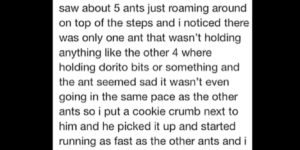 Do you actually want ants?