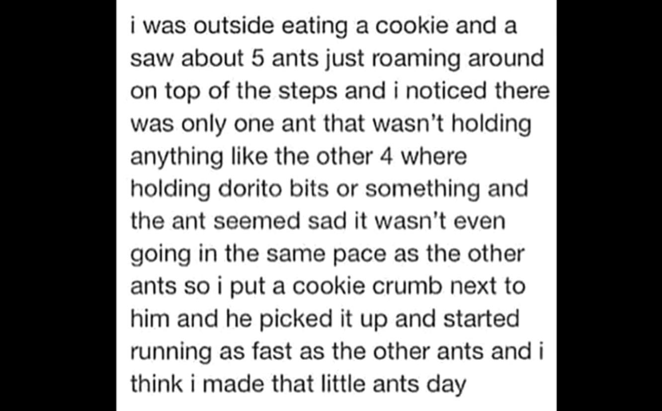 Do you actually want ants?