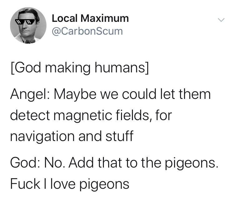 Pigeons get all the cool features...