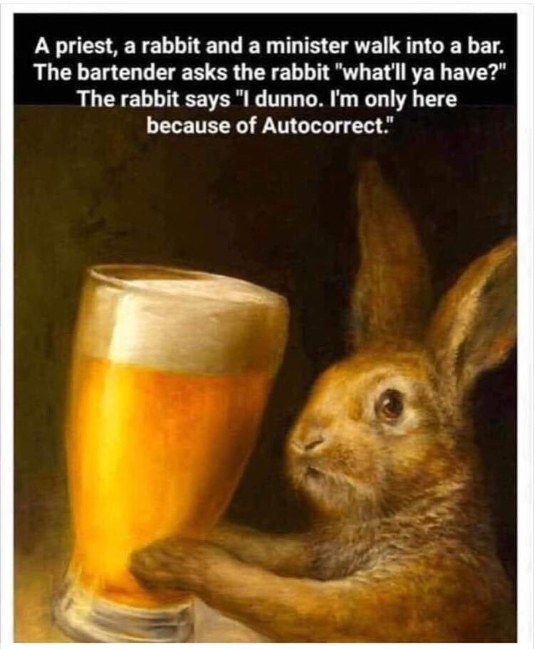 Bunnies make terrible bar patrons.