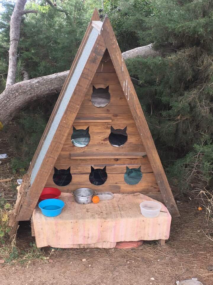 Cat hostel for feral cats in Portugal.