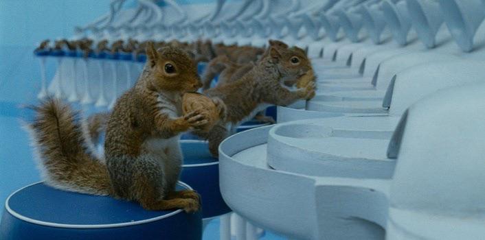 Charlie and the Chocolate Factory had 40 squirrels trained to crack nuts.