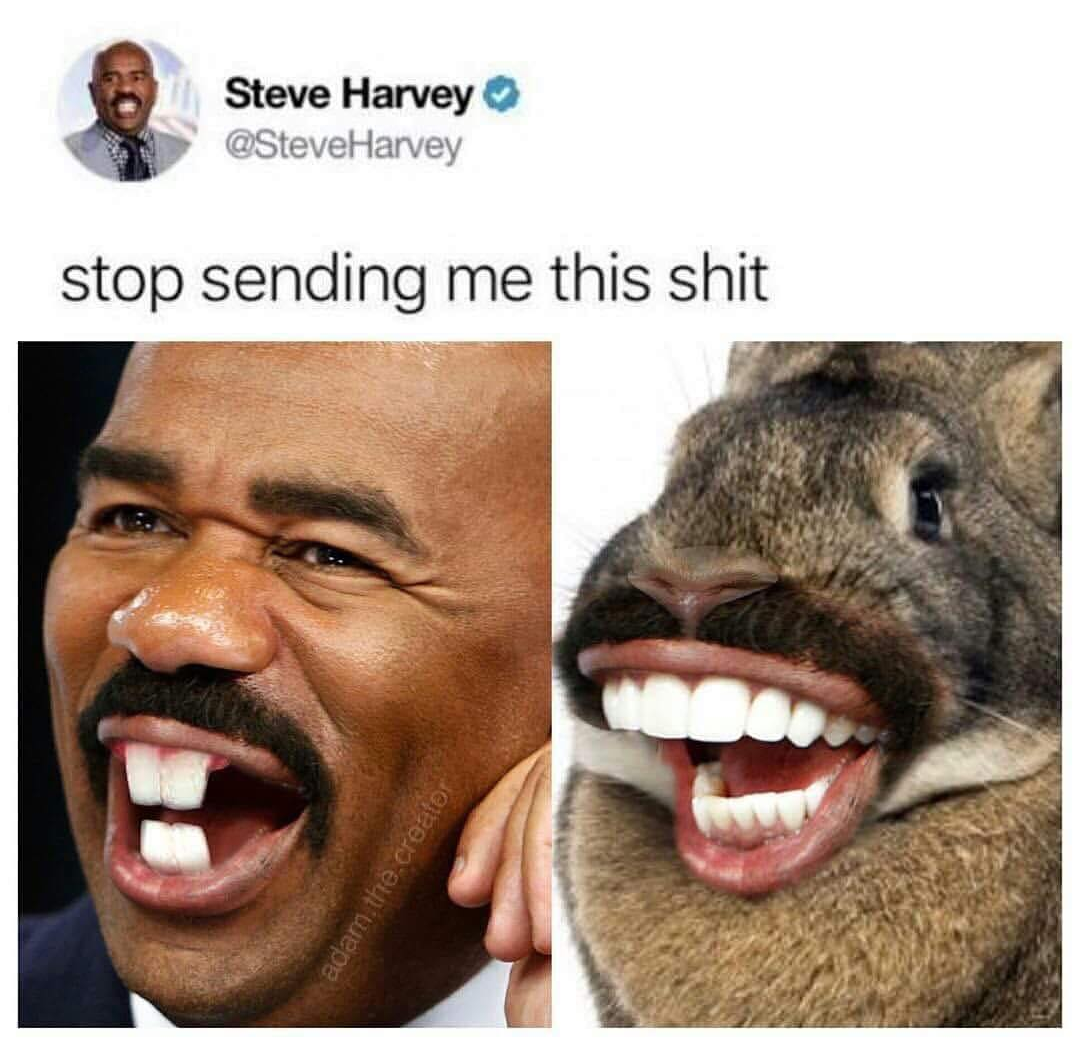 Steve Harvey is sick of you.