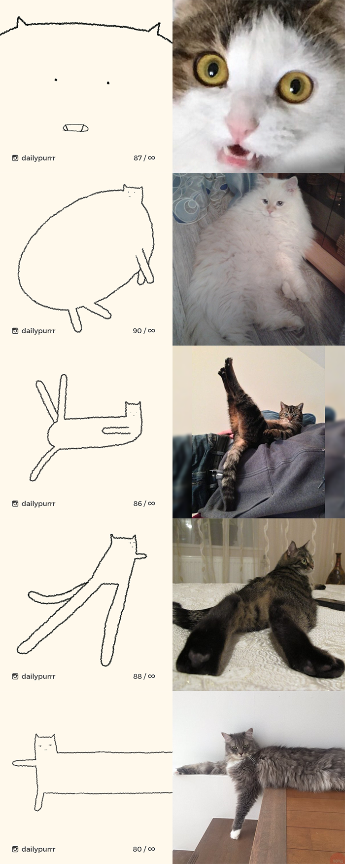 I Draw Cats