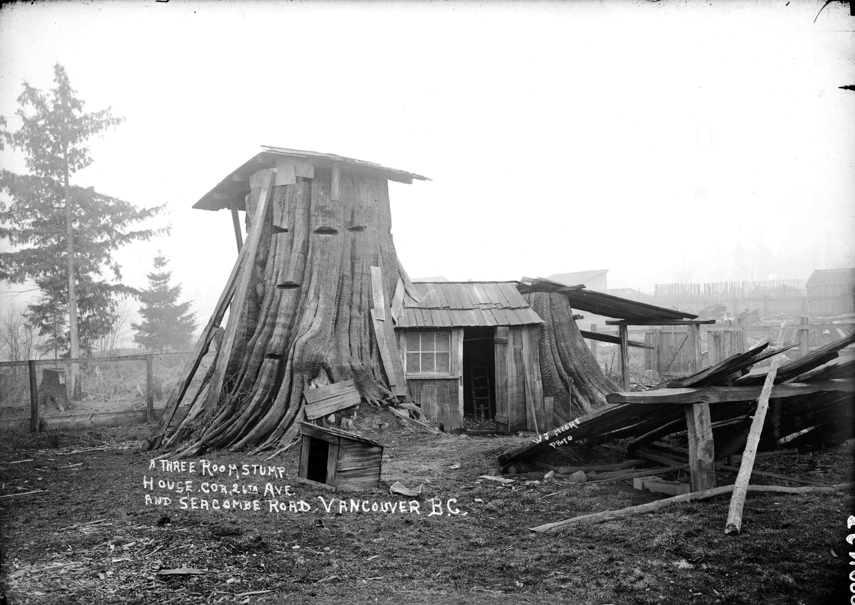 Three bedroom tree stump house in Vancouver, ~1900,