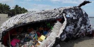 A replica of a Blue Whale carcass created using plastic garbage (constructed by Greenpeace Philippines)