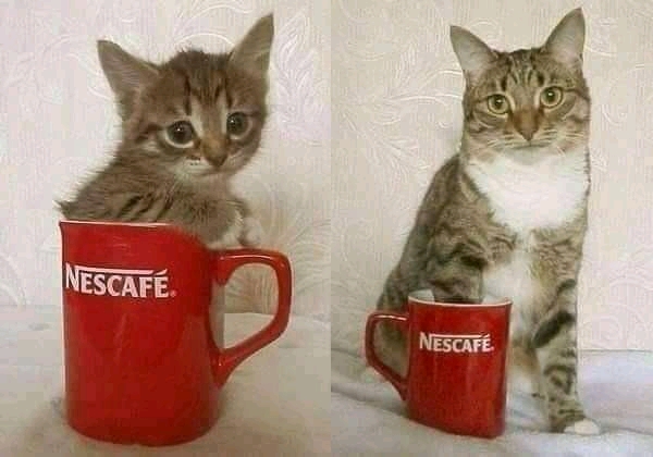 They grow up so fast...