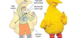 Big Bird, The Logisitics.