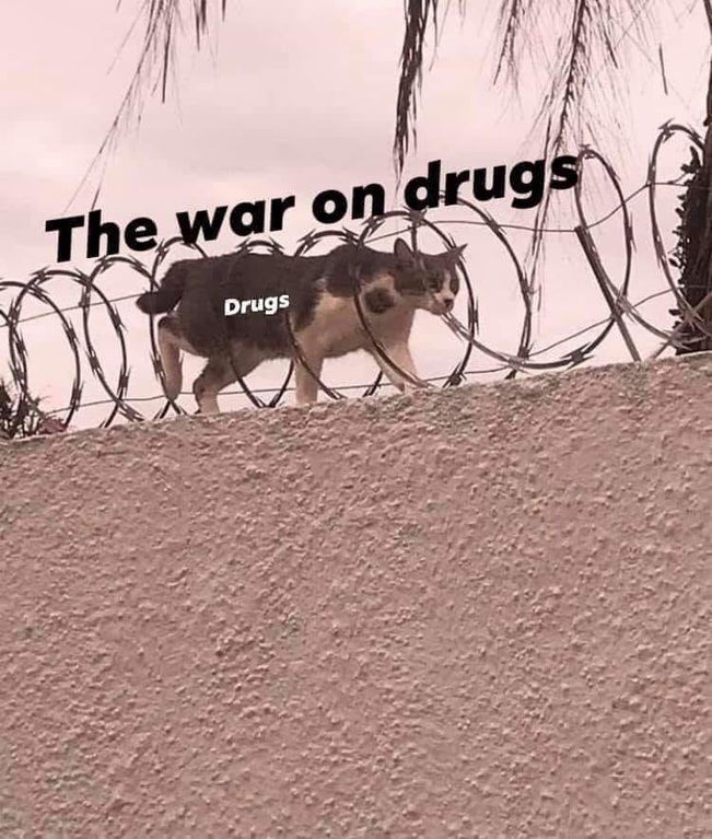 The War on Drugs, illustrate