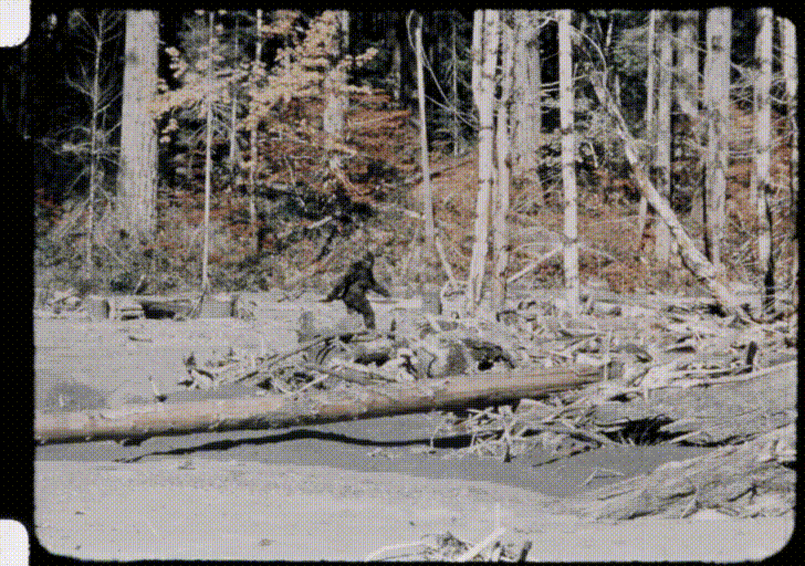 Bigfoot images stabalized