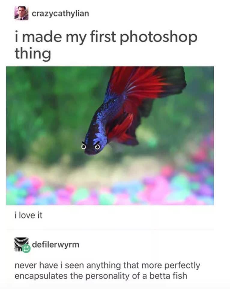 The Betta does emote.